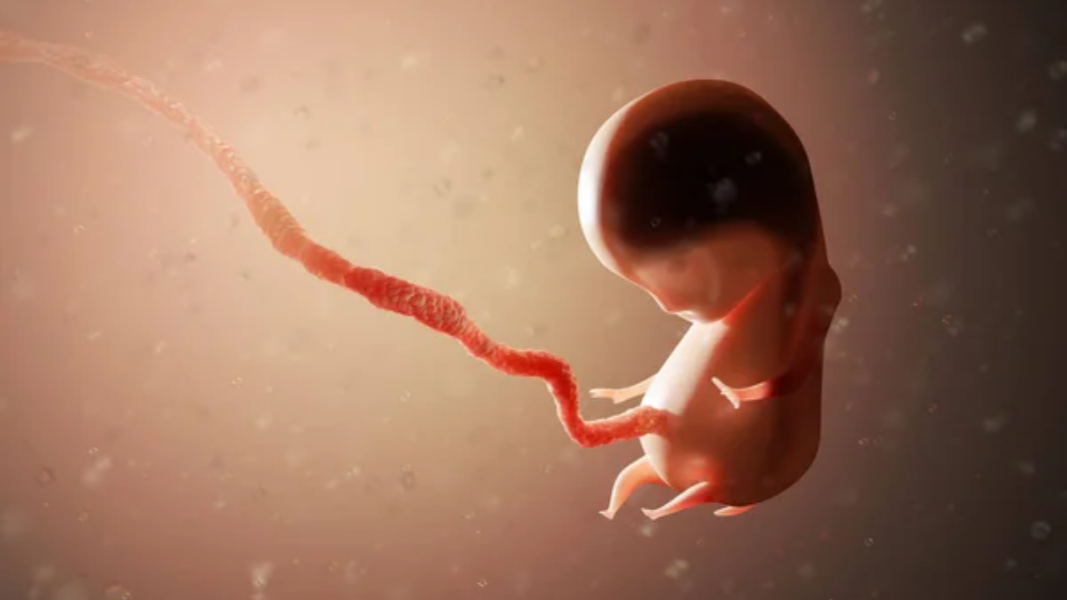 Luxemburgo consagra el aborto en su Constitución con una amplia mayoría parlamentaria