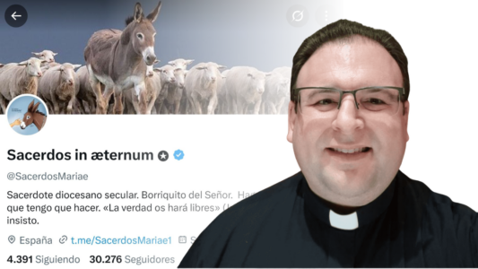 El cura valenciano absuelto porque las imágenes de menores desnudas que almacenaba no eran sexualmente explícitas nos pide rectificar