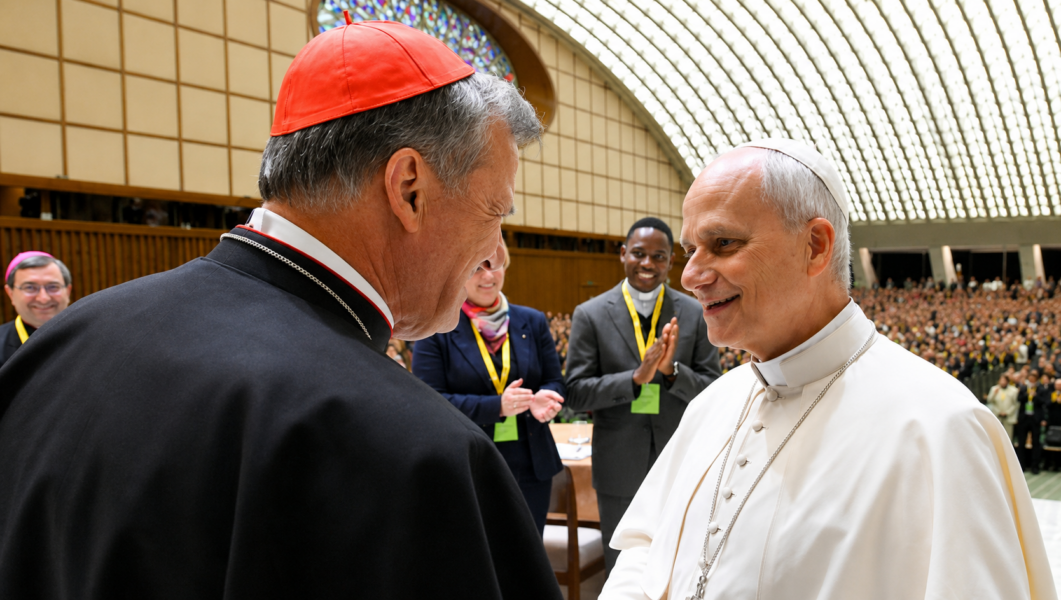 El Papa recibe al cardenal Grech tras el Congreso de los Católicos Alemanes