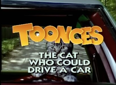 Un poco de sabiduría de la mano de Toonces