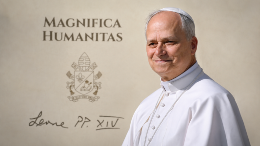 La traducción latina de Magnifica humanitas no llegará hasta después del verano
