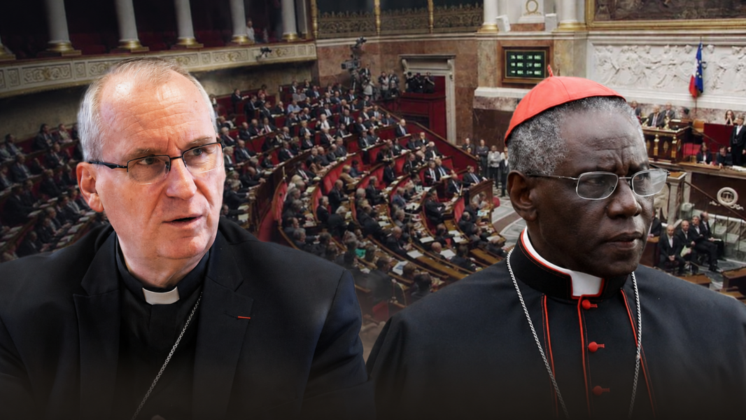 Sarah y el episcopado francés advierten sobre la eutanasia: «No toda ley aprobada por un Parlamento es justa»