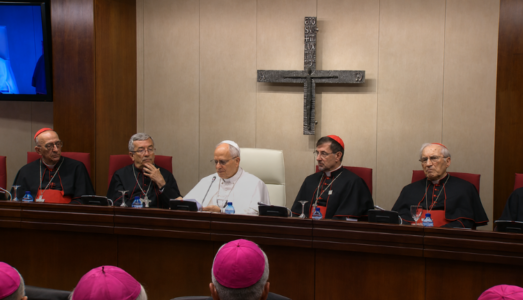 León XIV a los obispos españoles: «La fuerza de la Iglesia no nace de la grandeza de los medios, sino de la santidad de sus hijos»