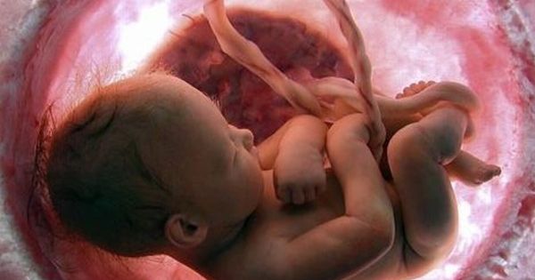 Fined for helping save lives: California prosecutor seeks more than $20 million against two pro-life organizations