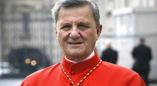 El cardenal Grech admite que el proceso sinodal aún no ha alcanzado su objetivo