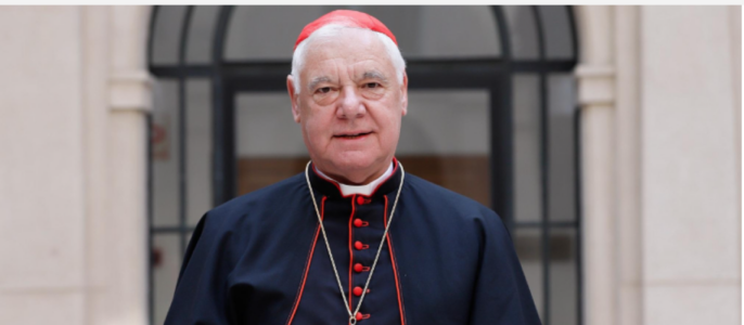 Müller acusa al Camino Sinodal de contradecir el Vaticano II al defender la predicación de laicos en la Misa