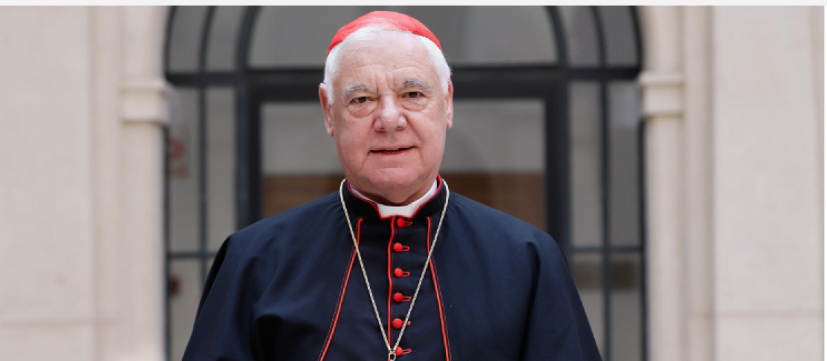 Müller acusa al Camino Sinodal de contradecir el Vaticano II al defender la predicación de laicos en la Misa