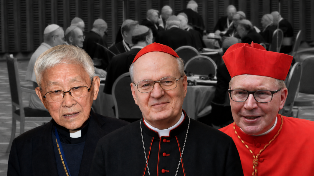 Ausencias de peso y la crisis con la FSSPX marcan el consistorio de León XIV