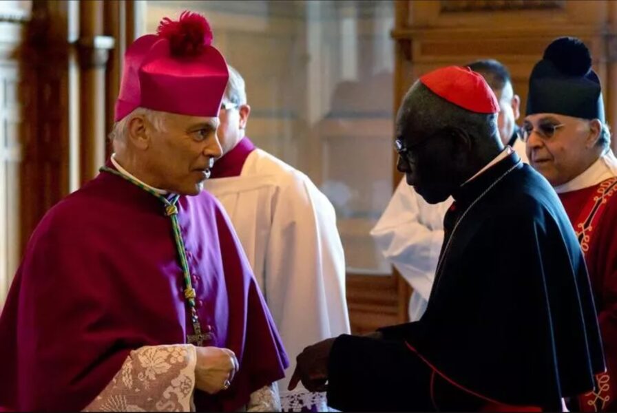 León XIV renueva la Signatura Apostólica: Cordileone entra en el tribunal supremo de la Iglesia