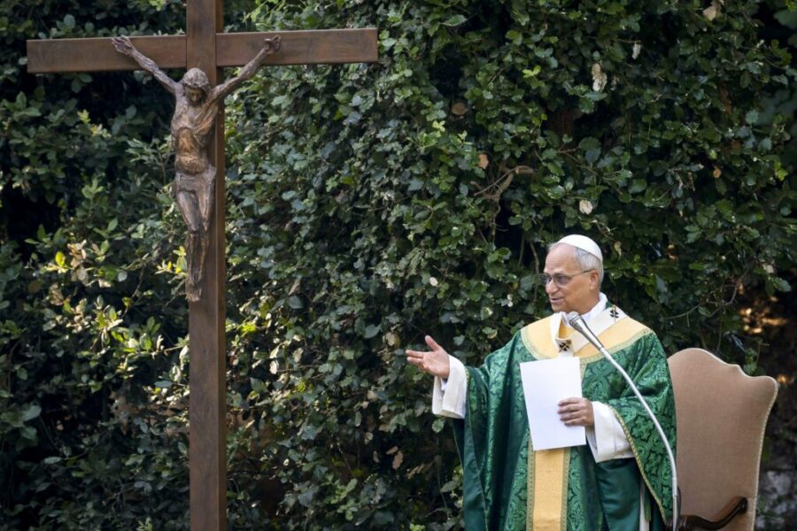 León XIV llama a una «auténtica conversión ecológica» que comienza por renovar el corazón