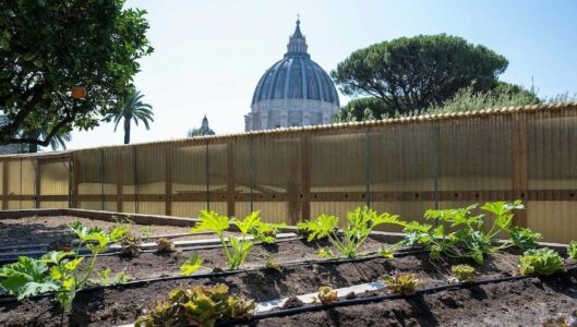 El Vaticano lleva la «ecología integral» al histórico huerto de Mater Ecclesiae