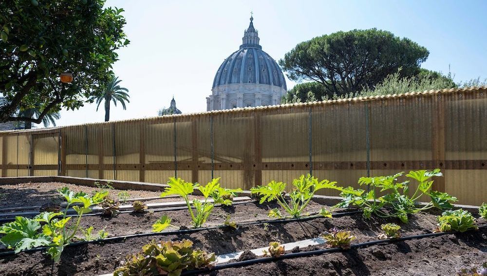 El Vaticano lleva la «ecología integral» al histórico huerto de Mater Ecclesiae