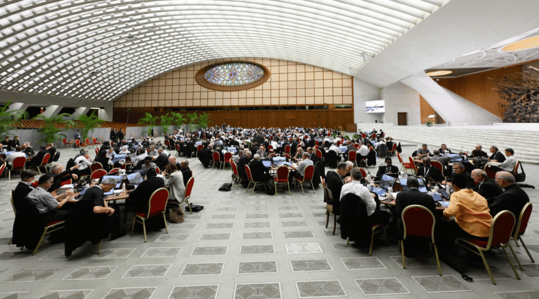 TRIBUNA. El sinodalismo vaticano es un anacronismo