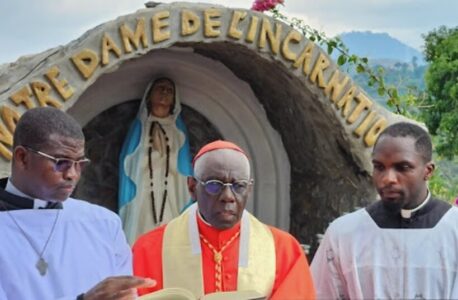 El cardenal Sarah y la crisis en la bioética