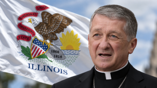 Cupich y dos comunidades religiosas llevan a Illinois ante los tribunales por su ley de suicidio asistido