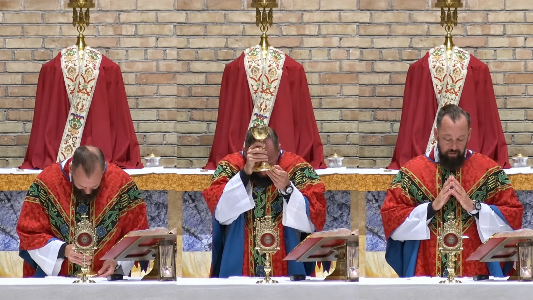 «Sentí mis manos fijas al cáliz»: el testimonio de un sacerdote sobrecogido en la consagración