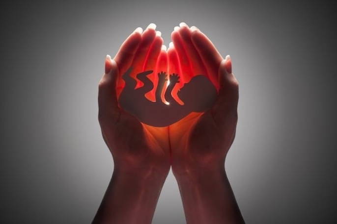The bishops' radio program on the Church speaks about abortion without naming the child