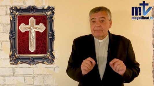 La trampa al Papa: curas casados, sinodalidad y la crisis de la Iglesia. P. Santiago Martin FM