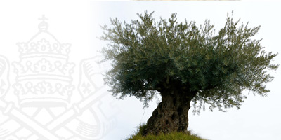 La Fundación Canto Católico ofrece nueva interpretación del villancico ‘Adeste Fideles’