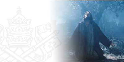 Dios o nada (Cardenal Sarah), en español