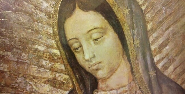 Dia octavo: Novena a la Virgen de Guadalupe. Día 8