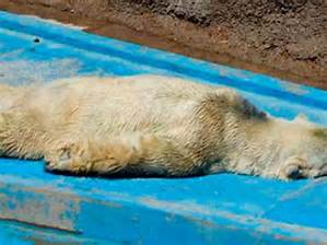 De nuevo González Guadalix pone el dedo en la llaga pustulenta