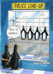 Rueda de reconocimieto