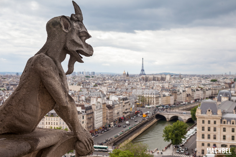 El Papa Francisco regresa a Roma : terremotos, cismas, política italiana, rebeliones, Notre Dame se cae a pedazos.