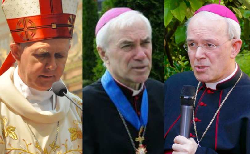 URGENTE: Tres Obispos contra Amoris Laetitia.