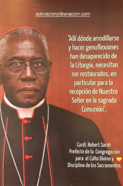 Lex credendi, lex orandi… ¡Adorad!