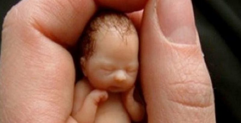 Irlanda ya no es católica, la calidad y el número de las vocaciones, en Palermo desaparece la mafia, la vida empieza a ganar.