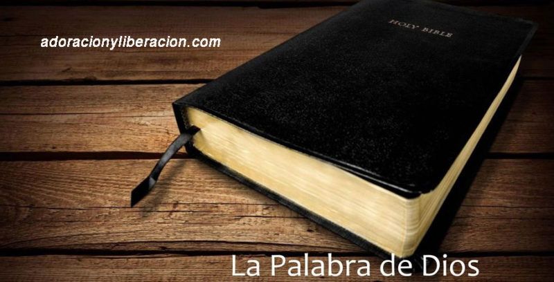 LA PALABRA DE DIOS DEL DOMINGO: Fiesta de Nuestro Señor Jesucristo Rey