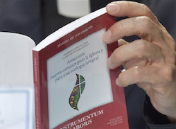 Amazonia. Otros tres cardenales rechazan el documento base del Sínodo