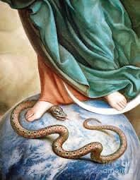 ¿Cónclave a la vista?, el Papa Francisco y Argentina, sacramentos ‘on line’, paracetamol Vaticano en Navidad, el tiempo de María.