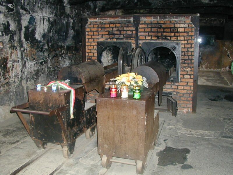 Cubanos en el Vaticano: ¡Dios, patria, vida y libertad!, la extinción humana voluntaria, los S.J., el ‘migracionismo’ del Papa Francisco.