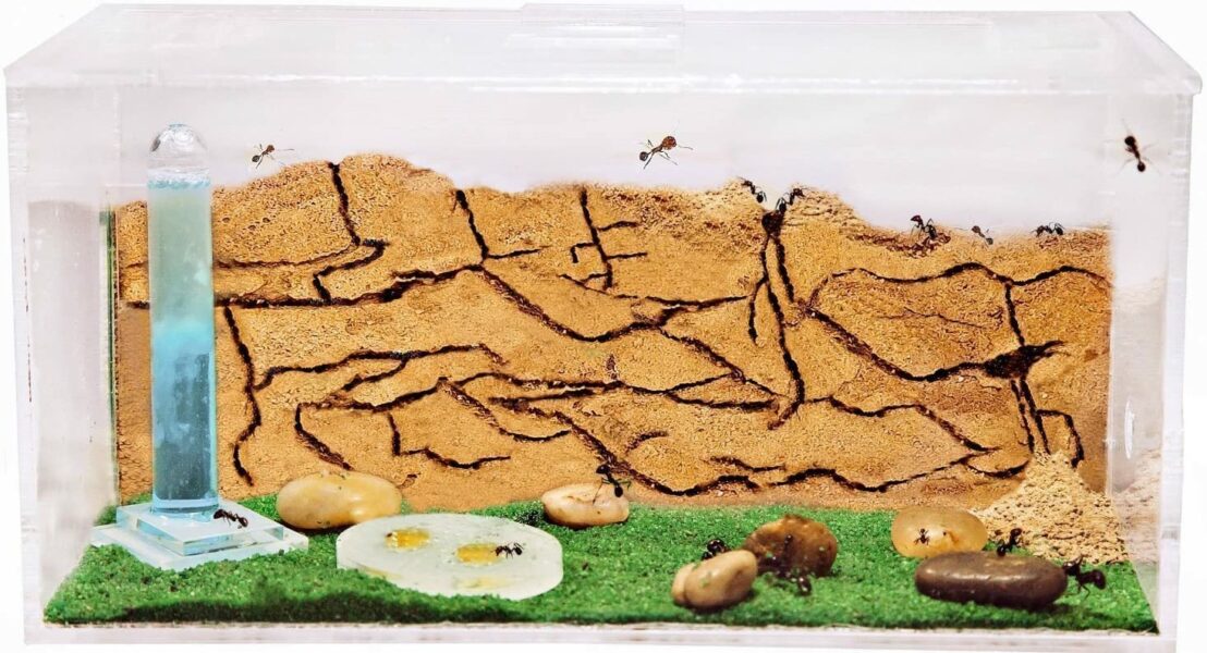 No seas ridículo, es Dios