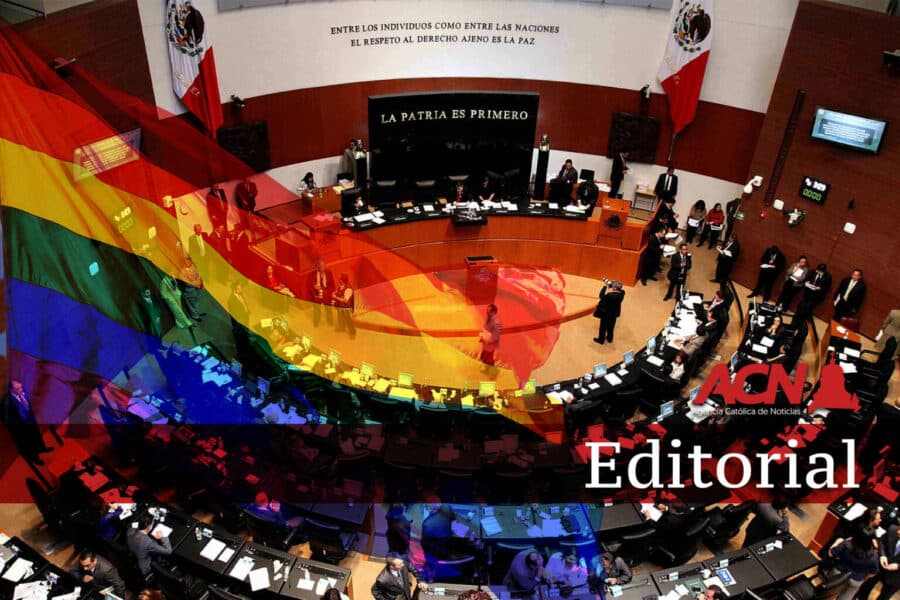 Editorial Agencia Católica de Noticias. «La inquisición arcoíris»