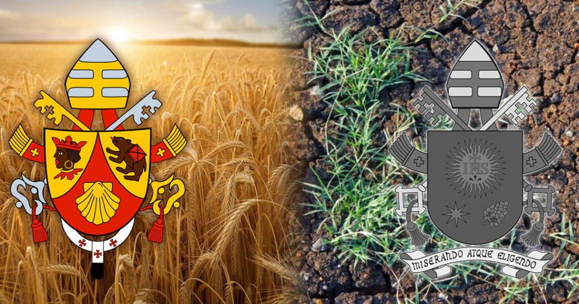 El Vaticano sede de la religión universal masónica, decapitación de ‘caritas internacionalis’, los hermanos judíos, la reforma ‘sin sustancia’ del Papa Francisco, los testarudos alemanes.