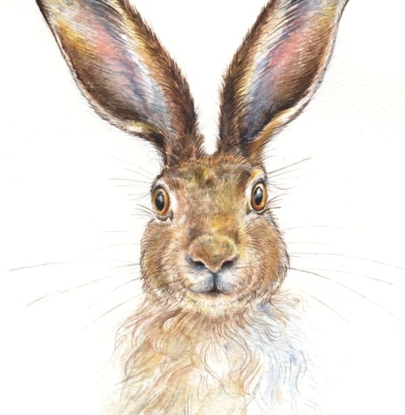 La rebelión de las conejas en el Vaticano, entre el Papa Benedicto y el Papa Francisco, la drogada Europa, publicaciones post mortem, la tanatopraxia.