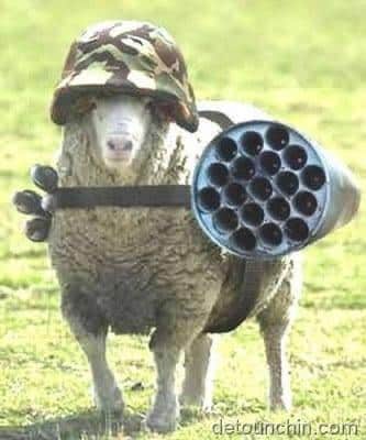 El ‘guardian de la ortodoxia’: Tucho bésame mucho, la agenda de Don Georg, la misión imposible de Zuppi, Walt Disney a la baja, «Exsurge Domine».  