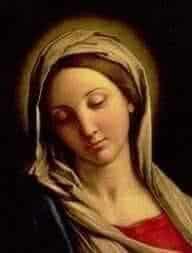 Los pecados ecológicos del Papa Francisco, el sínodo SJ, el locuaz y desconcertante Tucho, Zuppi hasta en la sopa, los medios inútiles,  el puñal de Pío XII, For God and for Profit, “VENI, VIDI, DEUS VICIT”.