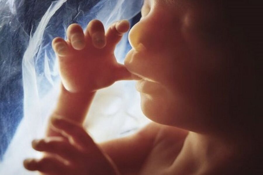 El Papa Bill y Francisco Clinton, Tucho y Spadaro, el bocazas de Milei, matar a los niños, Carballo aparcado,  universidades romanas, defender la fe.