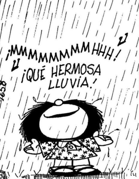 Cobo tiene un problema, apoyemos a los curas de Madrid, el boludo argentino