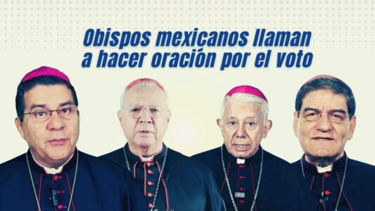 Eco al llamado de los obispos de México: Voto libre y razonado