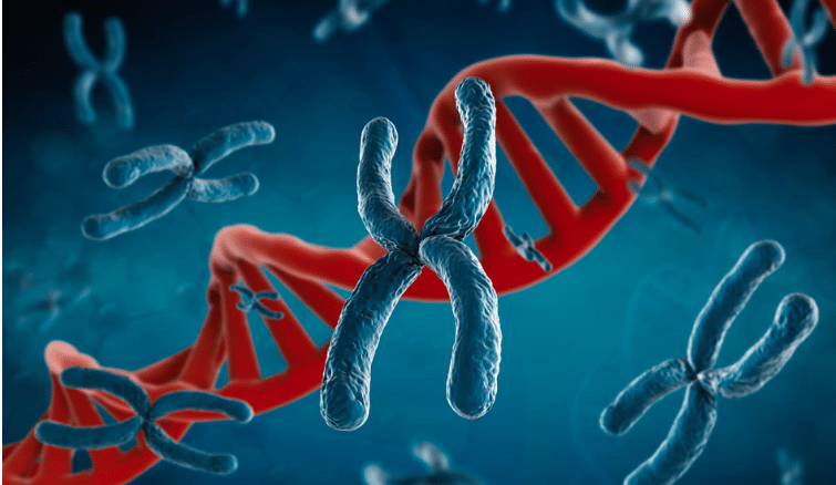 Editorial Centro Católico Multimedial. «Los genes del nepotismo»