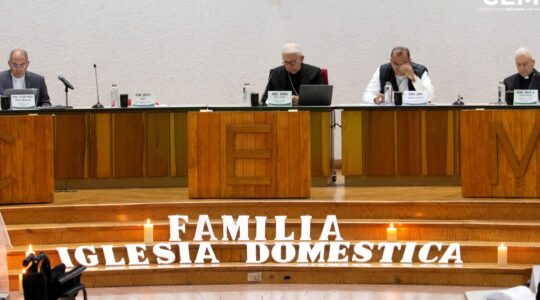  Obispos de México señalan desafíos urgentes: familia, reconciliación y paz