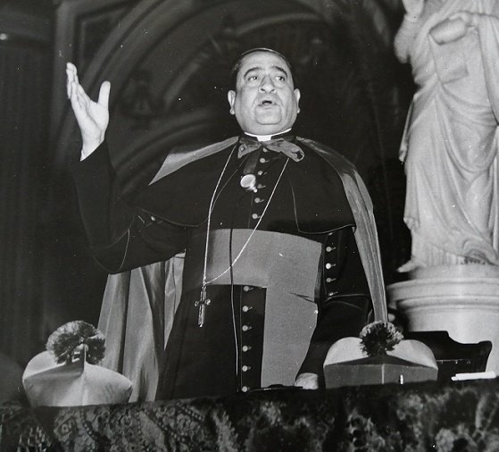 Cardenal Miranda. Gigante.
