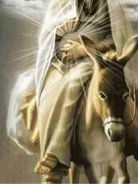 ¿León XIV cierra la etapa ‘Francisco’?, el sindicato del Vaticano, el imán y el obispo, el obispo de Nueva York, entre la realidad y la utopía, Europa: «¡Reconstruye tu unidad espiritual!»