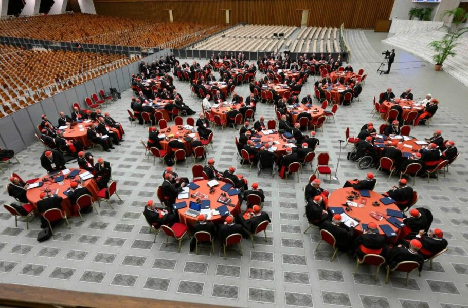 Catequesis sobre el Vaticano II, primer día del primer consistorio de León XIV, emanaciones de Timothy Radcliffe, Barron y la sinodalidad, la sinodalidad es cosa de Rousseau, Sarah y la música sacra.